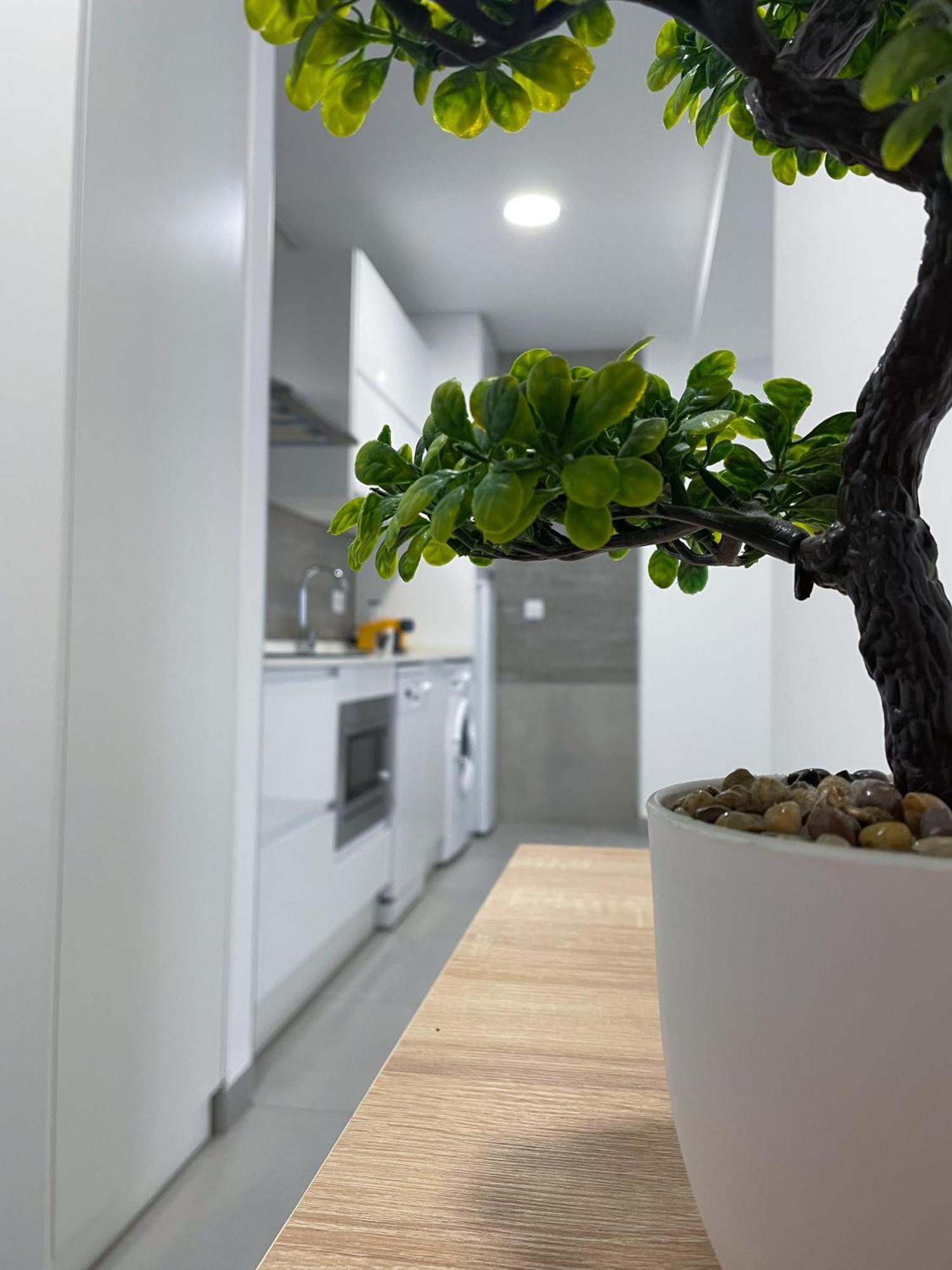 Apartamentos Lusitania Parking Gratis Bajo Disponibilidad Mérida Eksteriør billede